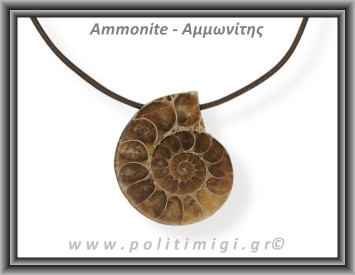 Αμμωνίτης Μενταγιόν 24 11,8gr 3,5cm