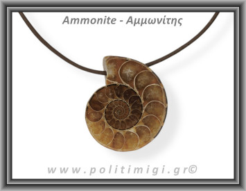 Αμμωνίτης Μενταγιόν 21 12,77gr 3,5cm