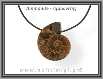 Αμμωνίτης Μενταγιόν 10 9,56gr 3,5cm