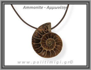 Αμμωνίτης Μενταγιόν 15 10,58gr 3,6cm