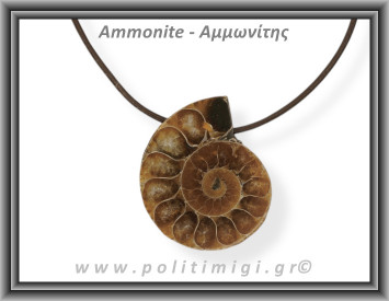 Αμμωνίτης Μενταγιόν 11 11,34gr 3,6cm