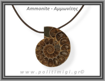 Αμμωνίτης Μενταγιόν 22 11,54gr 3,6cm