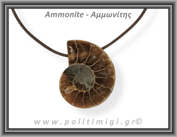 Αμμωνίτης Μενταγιόν 23 7,4gr 3,6cm