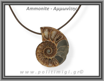 Αμμωνίτης Μενταγιόν 12 8,67gr 3,6cm