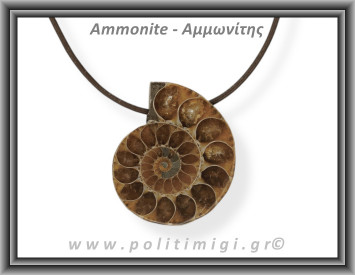 Αμμωνίτης Μενταγιόν 18 14,07gr 3,7cm