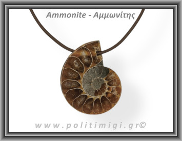 Αμμωνίτης Μενταγιόν 25 9,09gr 3,7cm