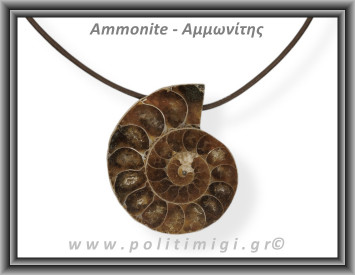 Αμμωνίτης Μενταγιόν 31 16,21gr 4cm