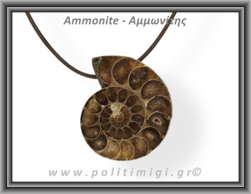 Αμμωνίτης Μενταγιόν 28 16,91gr 3,9cm