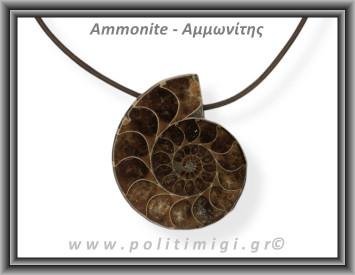 Αμμωνίτης Μενταγιόν 32 17,6gr 4cm