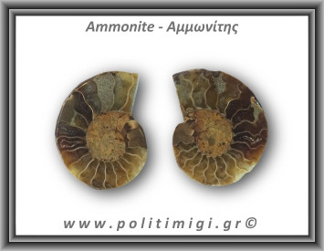 Αμμωνίτης Ζευγάρι 11,8gr 3x2cm