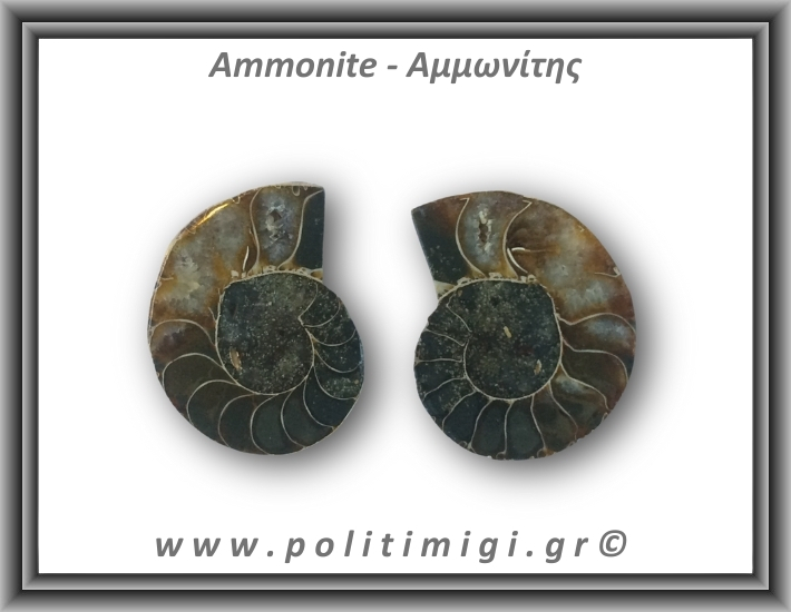 Αμμωνίτης Ζευγάρι 14,8gr 3x2cm
