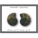Αμμωνίτης Ζευγάρι 14,8gr 3x2cm