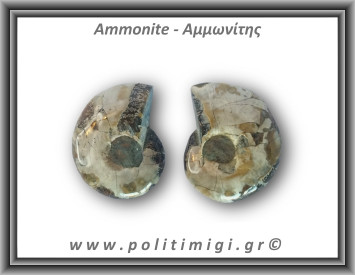 Αμμωνίτης Ζευγάρι 14,8gr 3x2cm