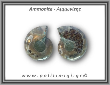 Αμμωνίτης Ζευγάρι 15,7gr 3x2cm