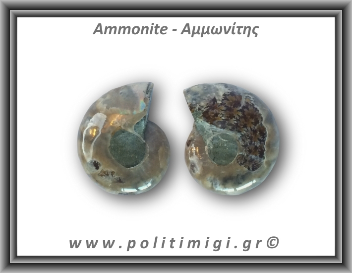 Αμμωνίτης Ζευγάρι 15,7gr 3x2cm