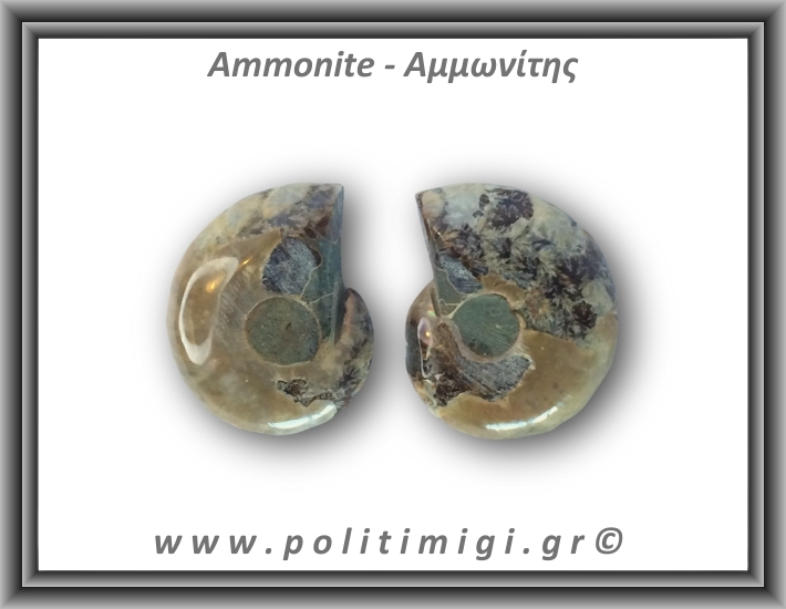 Αμμωνίτης Ζευγάρι 16,2gr 3x2cm