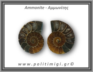 Αμμωνίτης Ζευγάρι 18,2gr 3x2cm