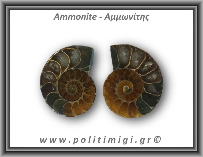 Αμμωνίτης Ζευγάρι 18,2gr 3x2cm