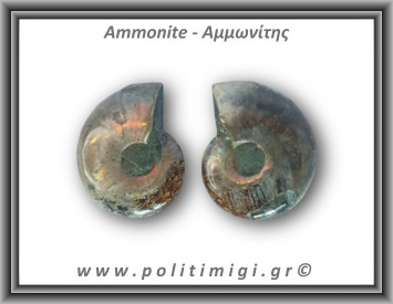 Αμμωνίτης Ζευγάρι 18,2gr 3x2cm