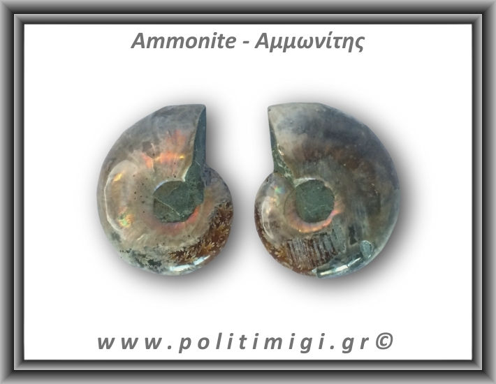 Αμμωνίτης Ζευγάρι 18,2gr 3x2cm