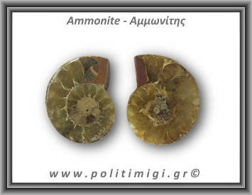 Αμμωνίτης Ζευγάρι 18,5gr 3x2cm