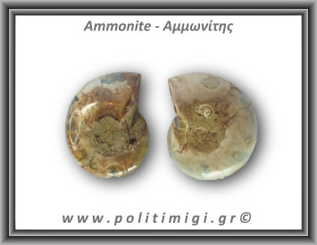 Αμμωνίτης Ζευγάρι 18,5gr 3x2cm