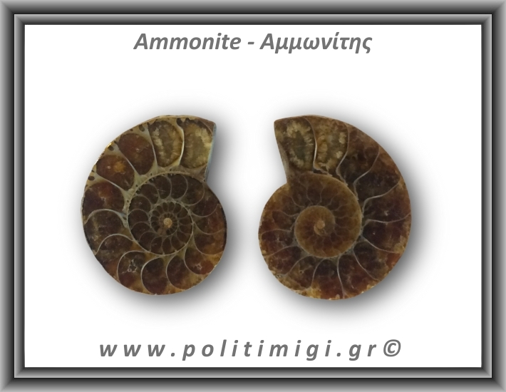 Αμμωνίτης Ζευγάρι 18,6gr 3x2cm
