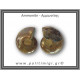 Αμμωνίτης Ζευγάρι 18,6gr 3x2cm