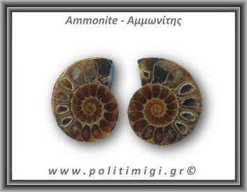 Αμμωνίτης Ζευγάρι 18gr 3x2cm