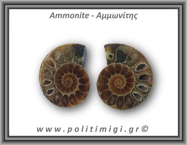 Αμμωνίτης Ζευγάρι 18gr 3x2cm