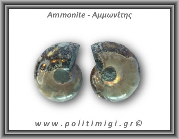 Αμμωνίτης Ζευγάρι 18gr 3x2cm