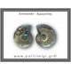 Αμμωνίτης Ζευγάρι 18gr 3x2cm