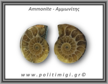 Αμμωνίτης Ζευγάρι 19,1gr 3x2cm
