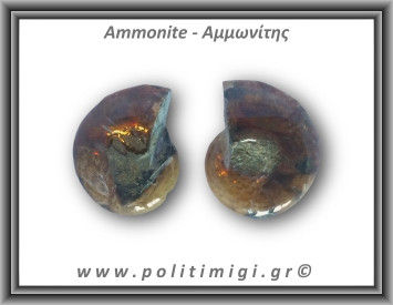 Αμμωνίτης Ζευγάρι 19,1gr 3x2cm