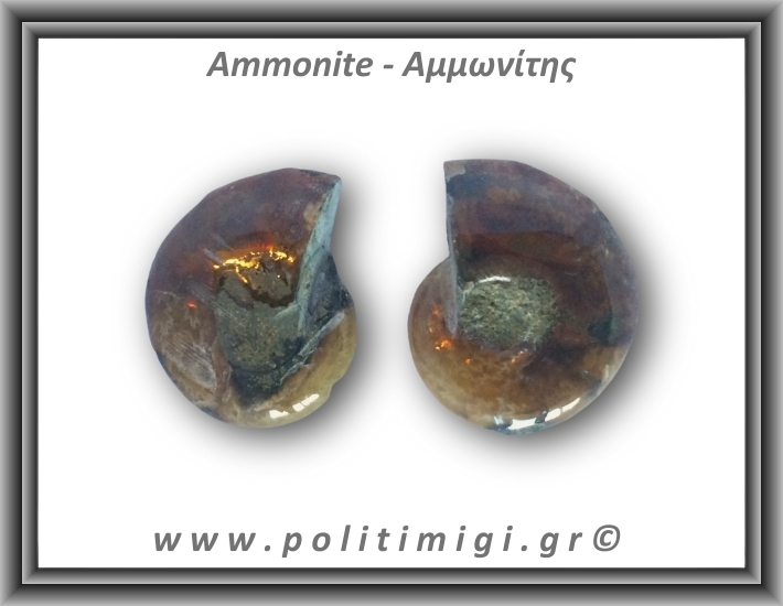 Αμμωνίτης Ζευγάρι 19,1gr 3x2cm