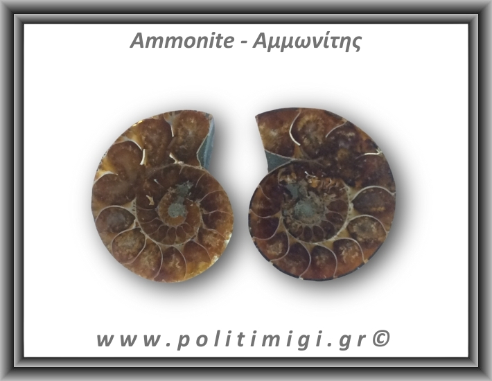 Αμμωνίτης Ζευγάρι 19,3gr 3x2cm