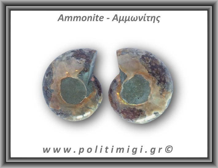 Αμμωνίτης Ζευγάρι 19,3gr 3x2cm