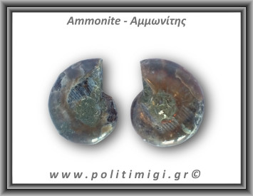 Αμμωνίτης Ζευγάρι 19,4gr 3x2cm