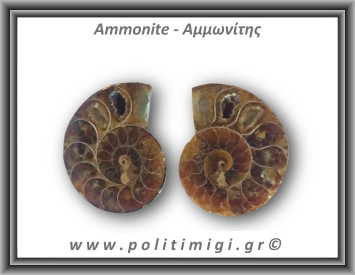 Αμμωνίτης Ζευγάρι 19,5gr 3x2cm