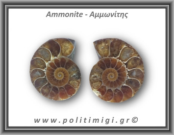 Αμμωνίτης Ζευγάρι 20,3gr 3x2cm