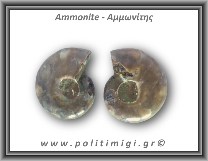 Αμμωνίτης Ζευγάρι 20,3gr 3x2cm