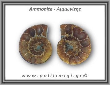 Αμμωνίτης Ζευγάρι 20,8gr 3x2cm