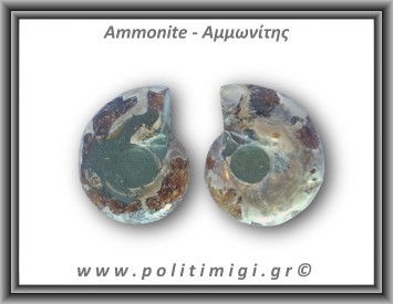 Αμμωνίτης Ζευγάρι 20,8gr 3x2cm