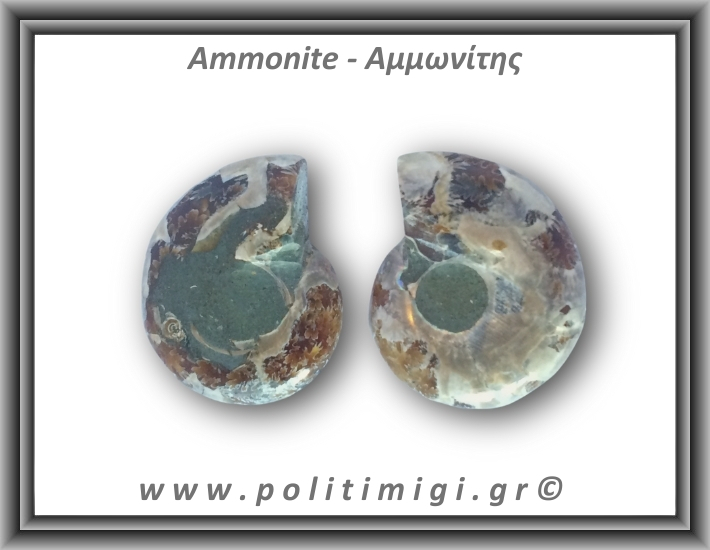 Αμμωνίτης Ζευγάρι 20,8gr 3x2cm