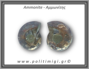 Αμμωνίτης Ζευγάρι 20gr 3x2cm