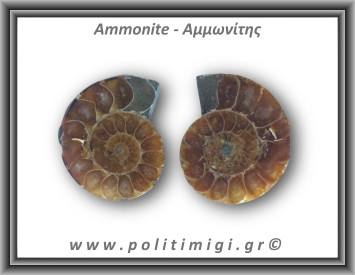 Αμμωνίτης Ζευγάρι 21,6gr 3x2cm
