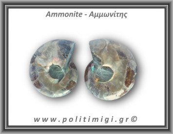 Αμμωνίτης Ζευγάρι 21,6gr 3x2cm