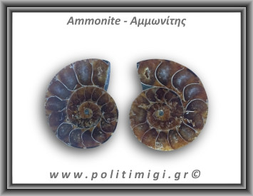 Αμμωνίτης Ζευγάρι 22,4gr 3x3cm