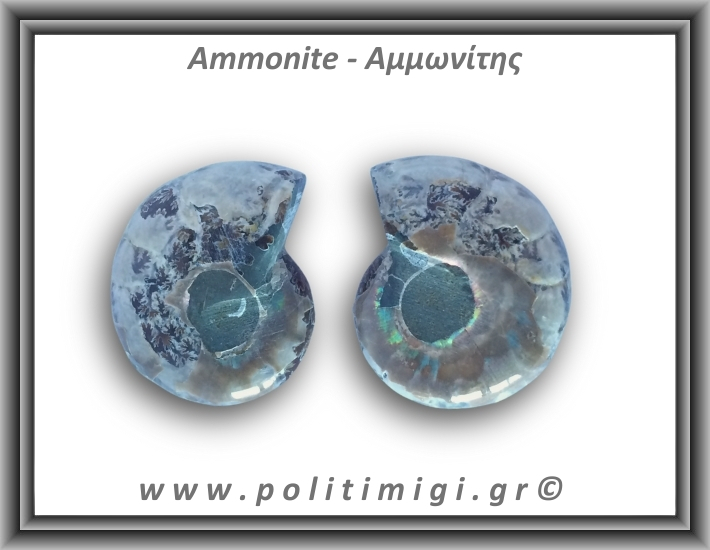 Αμμωνίτης Ζευγάρι 22,4gr 3x3cm