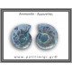 Αμμωνίτης Ζευγάρι 22,4gr 3x3cm